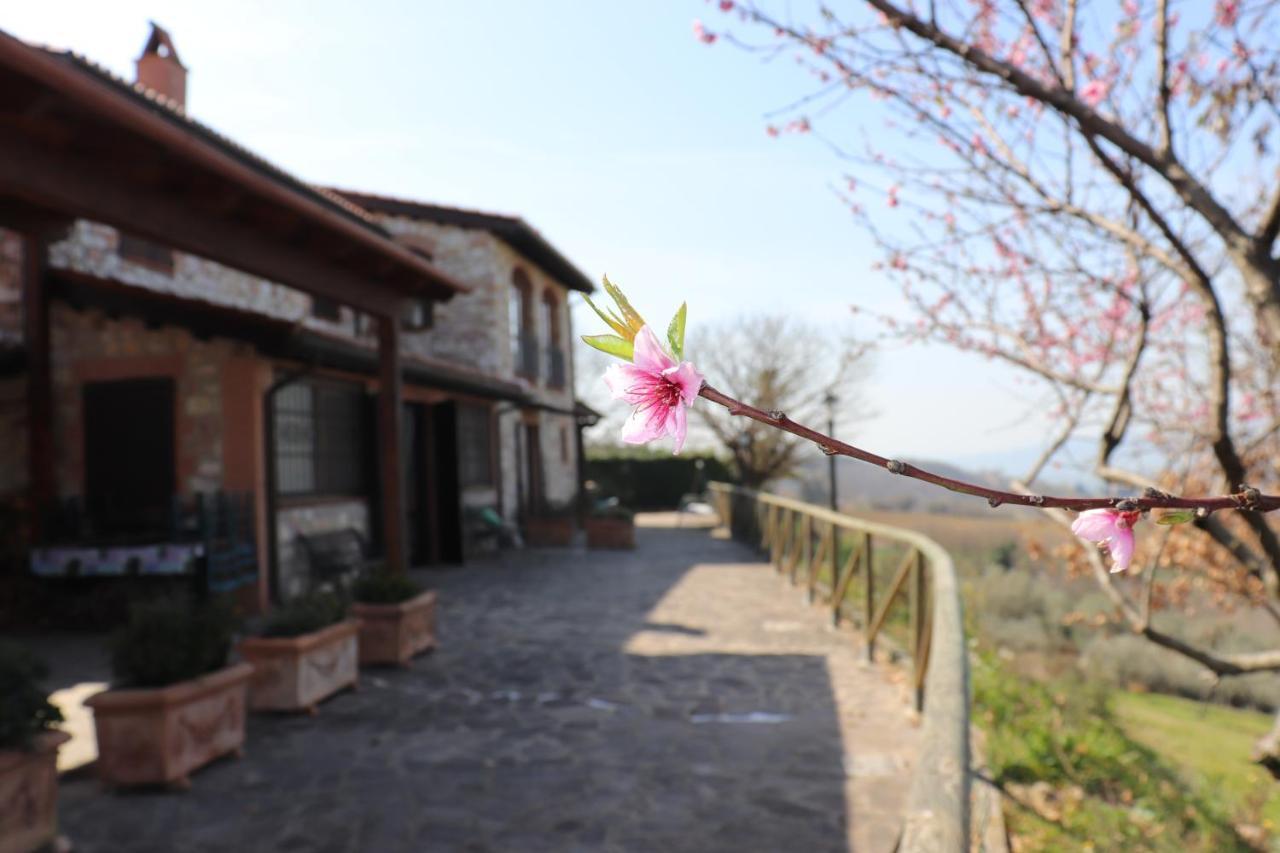 B&B Casale Roshlee Gualdo Cattaneo Εξωτερικό φωτογραφία